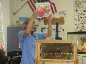 Cathy holds up a photo of two strawberries.  The fully developed strawberry on the left has been properly pollinated, while the poorly developed one on the right was not.