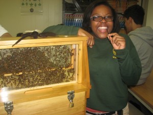 A student at Barack Obama Green Charter High School checks out the observation hive while she samples some honey during a school program offered by Wolgast Tree Farm & Apiary. 